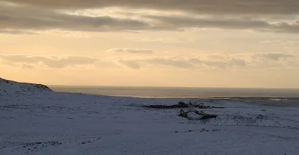 Excavators are building a wall to protect the Avartsengi power plant and Grindavik from a possible lava flow