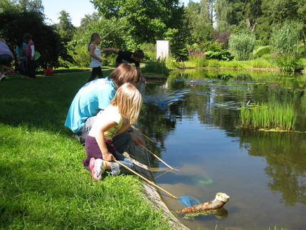 Ein Teich mit Kindern im Botanischen Garten