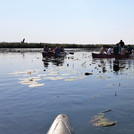 Nationalpark Unteres Odertal.