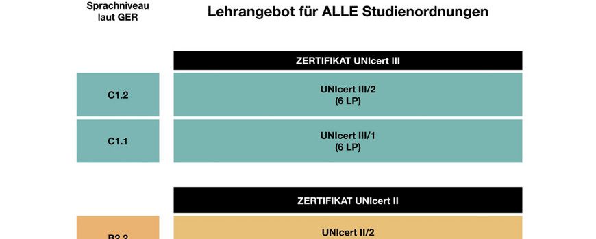 Übersicht über das Lerngebot für alle Studienordnungen