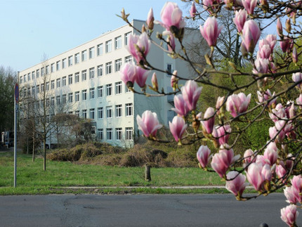 Zessko, Building 19, Neues Palais Campus