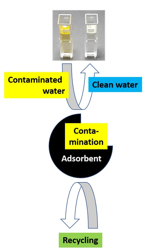 schematische Darstellung der absorbierenden Wirkung der eingesetzten Substanz und des Effekts auf kontaminiertes Wasser