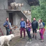 Besuch bei Nadir und Nuvola (Hirtenhund) mit seinen vier neuen französischen Ziegen. 