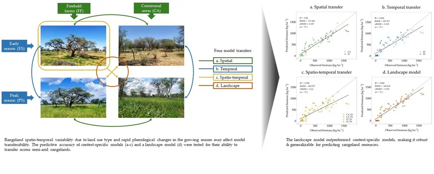Graphical abstract of the paper by Amputu et al. 2024