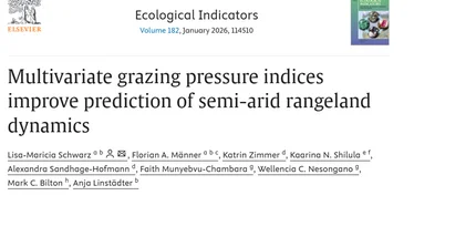 Title of publication by Schwarz et al. 2025