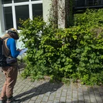 studying plants
