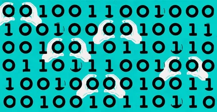 Data Science kann helfen, Licht uns Dunkel komplexer Prozesse zu bringen. | Foto: Andreas Töpfer