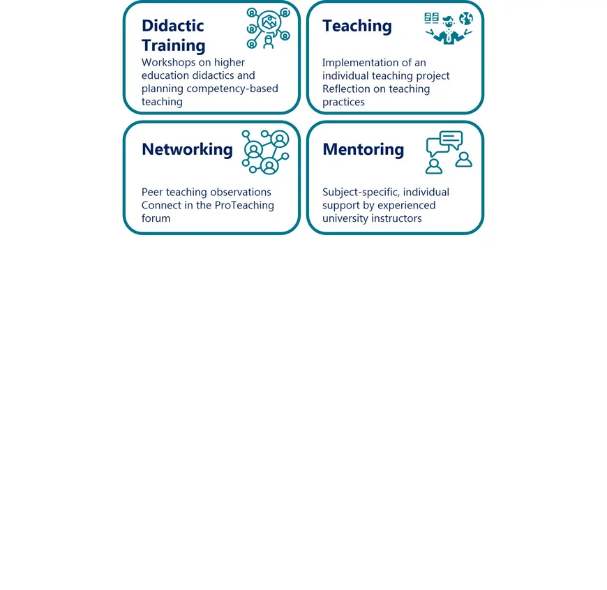 4 Components of the Teaching Professionals Program: Training, Teaching, Networking and Mentoring.