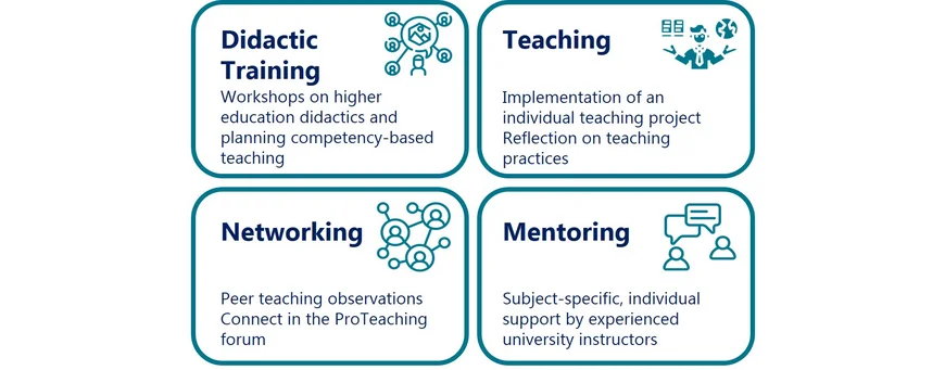 4 Components of the Teaching Professionals Program: Training, Teaching, Networking and Mentoring.