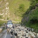 Impressionen aus dem indischen Himalaya