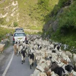 Impressionen aus dem indischen Himalaya