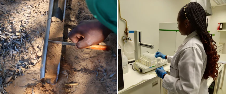 On the left a soil sample is being collected with a soil auger; on the right a researcher in a lab is adding chemicals to small receipients containing soil by means of a pipette