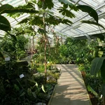 Blick in das Victoriahaus