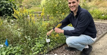 on work in plant bed