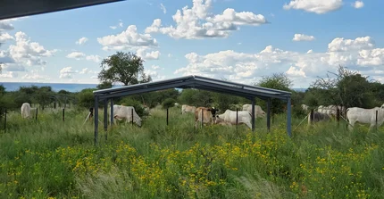 TipEx rainout shelters with cows grazing in the background