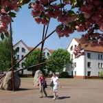 Vor der Haustür: Wer im Studierendendorf in Griebnitzsee wohnt, hat es nicht weit zur Uni.