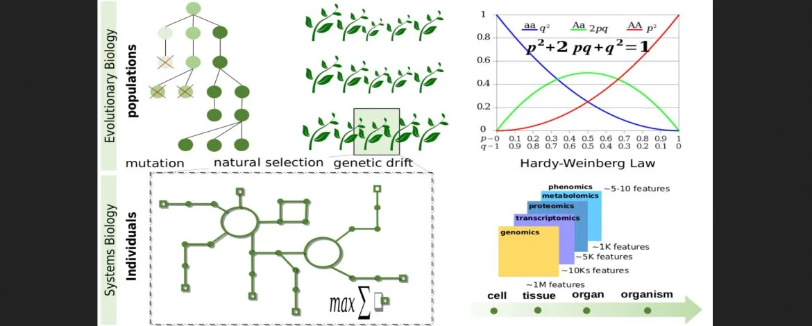 Figure of the ESB (Evolutionary Systems Biology) - 