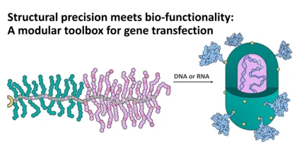 Formation of virus-like particels based on bottle brush copolymers and genetic material