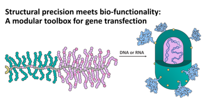 Formation of virus-like particels based on bottle brush copolymers and genetic material