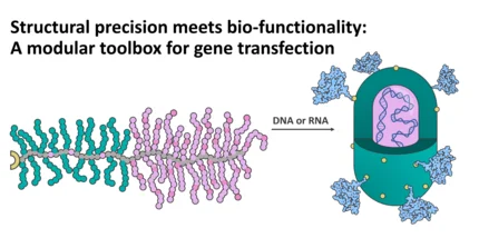Formation of virus-like particels based on bottle brush copolymers and genetic material