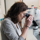 Das Bild zeigt eine Forscherin, die eine Probe mit einem Mikroskop untersucht.
