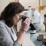 This image shows a researcher who is examining a sample under a microscope.