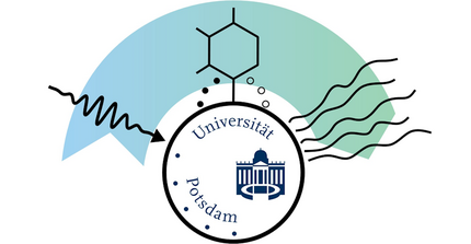 The logo of the CRC 1636 bridging physics and chemistry at metal nanoparticles