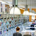 Bei Lichte besehen: freundliche Atmosphäre in der Bibliothek in Griebnitzsee