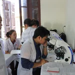 Counting the erythrocytes
