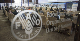Experten unter sich: Im Hauptquartier der Food and Agriculture Organization of the United Nations (FAO) in Rom. Foto: FAO/Giorgio Cosulich de Pecine.