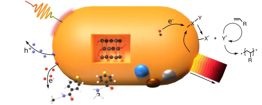 Sketch depicting all central questions regarding light driven reactions around a metallic nanoparticle