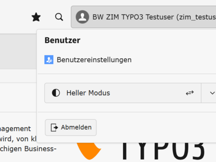 Feld für das Ausloggen im TYPO3-System.