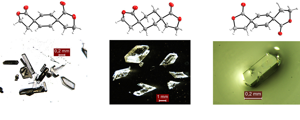 Crystals and molecular structures of various γ-spirolactones - AK Linker publication - zu den Publikationen