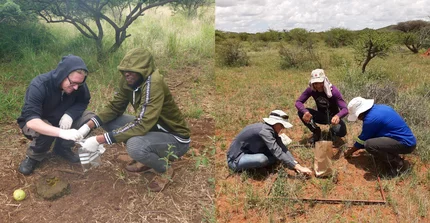 News Teaser for Sallnet: scientists at work in South Africa