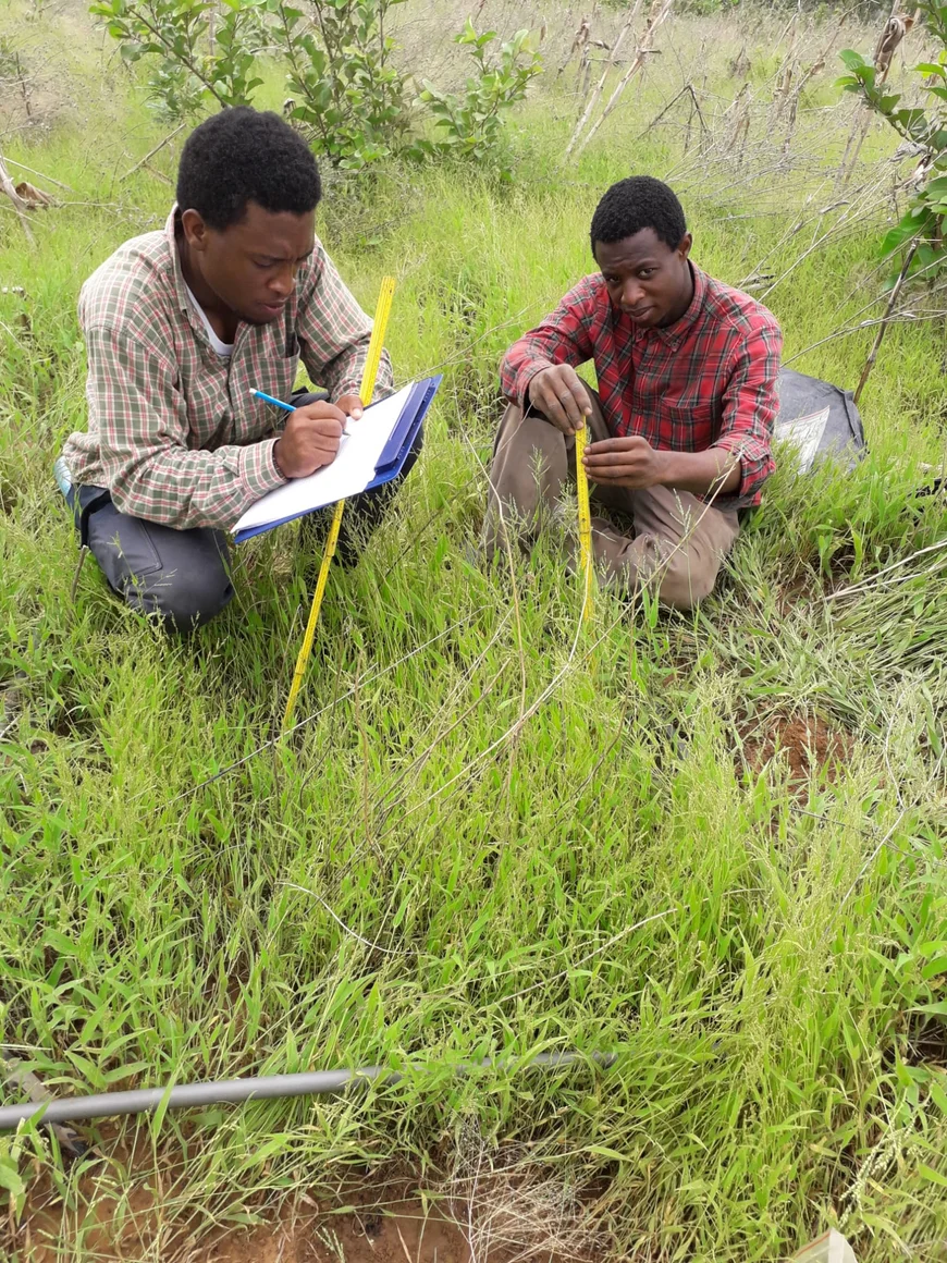 fieldwork in Ghana