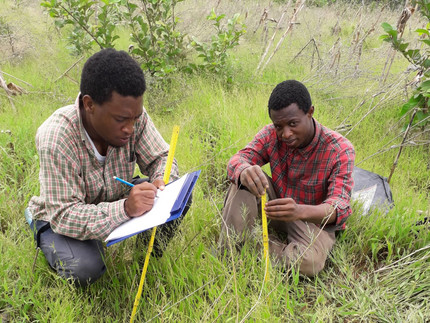 fieldwork in Ghana