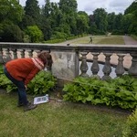 studying the plants