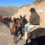 Impressions from Argentinia
