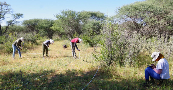 Data collection in the marked area