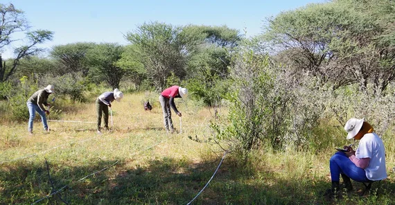 Datenerhebung im abgesteckten Areal
