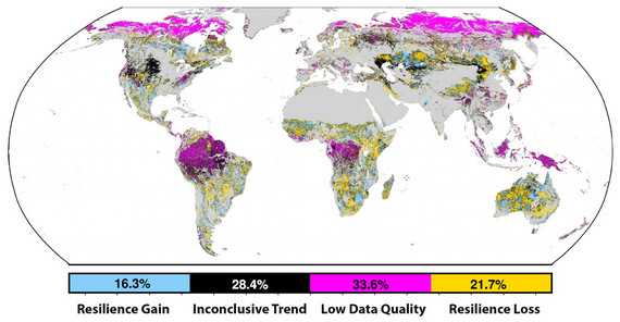 Globale Karte die zeigt, wo zuverlässige Resilienzabschätzungen der Vegetation möglich sind (blaue/orange Bereiche), mit Kategorien für Resilienzgewinn und -verlust, unklare Trends (schwarz) und geringe Datenqualität (pink).