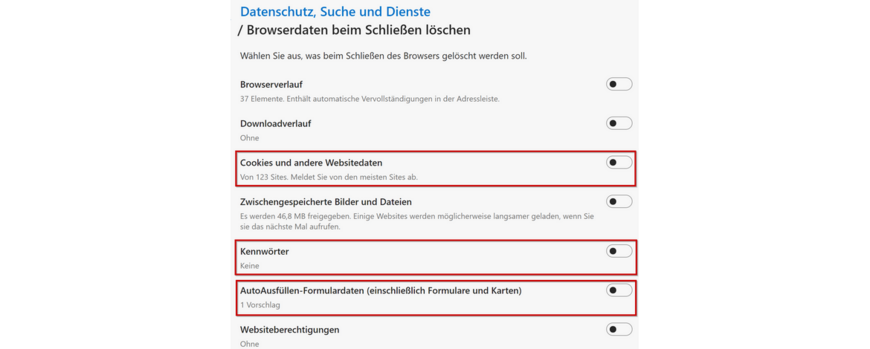 Browser Edge Cookies, Kennwörter und Formulardaten