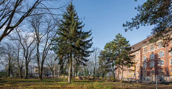 Foto der Außenanlagen