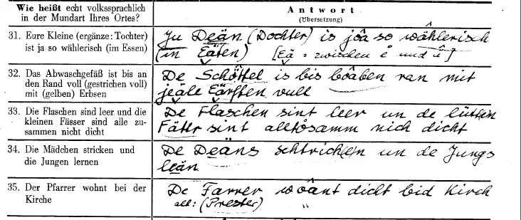 Fragebogen