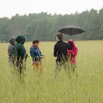 people in grass with umbrella