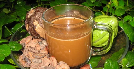 Eine Tasse Kakao mit Kakaofrüchten daneben.