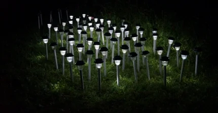 Garden lights at night