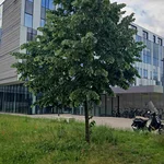 Campus Paris Nanterre