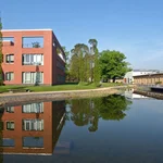 See auf dem Campus Griebnitzsee am Hasso Plattner Institut