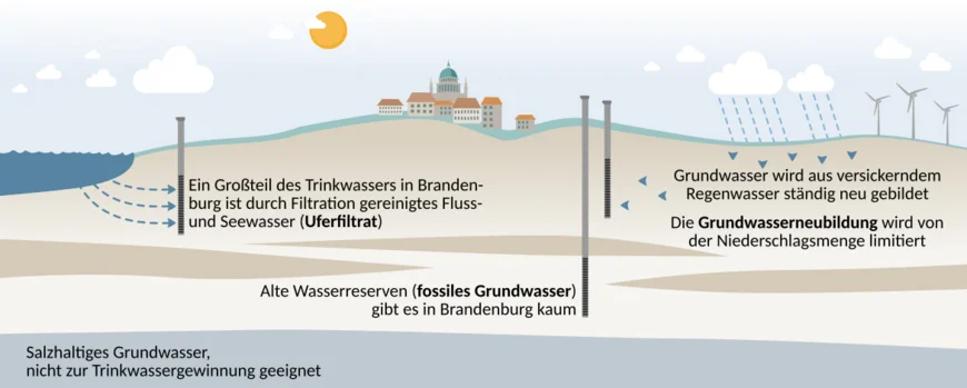 Infografik: Die Trinkwasserversorgung Brandenburgs basiert vor allem auf Uferfiltrat und "jungem" Grundwasser, und ist somit von Niederschlagsmengen abhängig. Alte Grundwasserreserven sind rar.